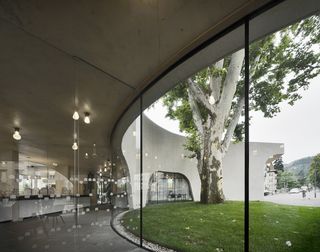 View through glazing to small grassed area with a tree in the center