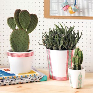dotted white wall with white designed plant pot and book