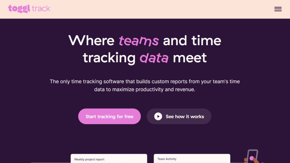 Toggl website screenshot (August 2025).