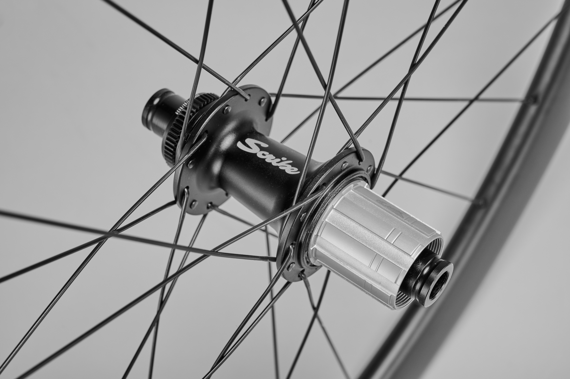 Scribe Inception 50+ wheels