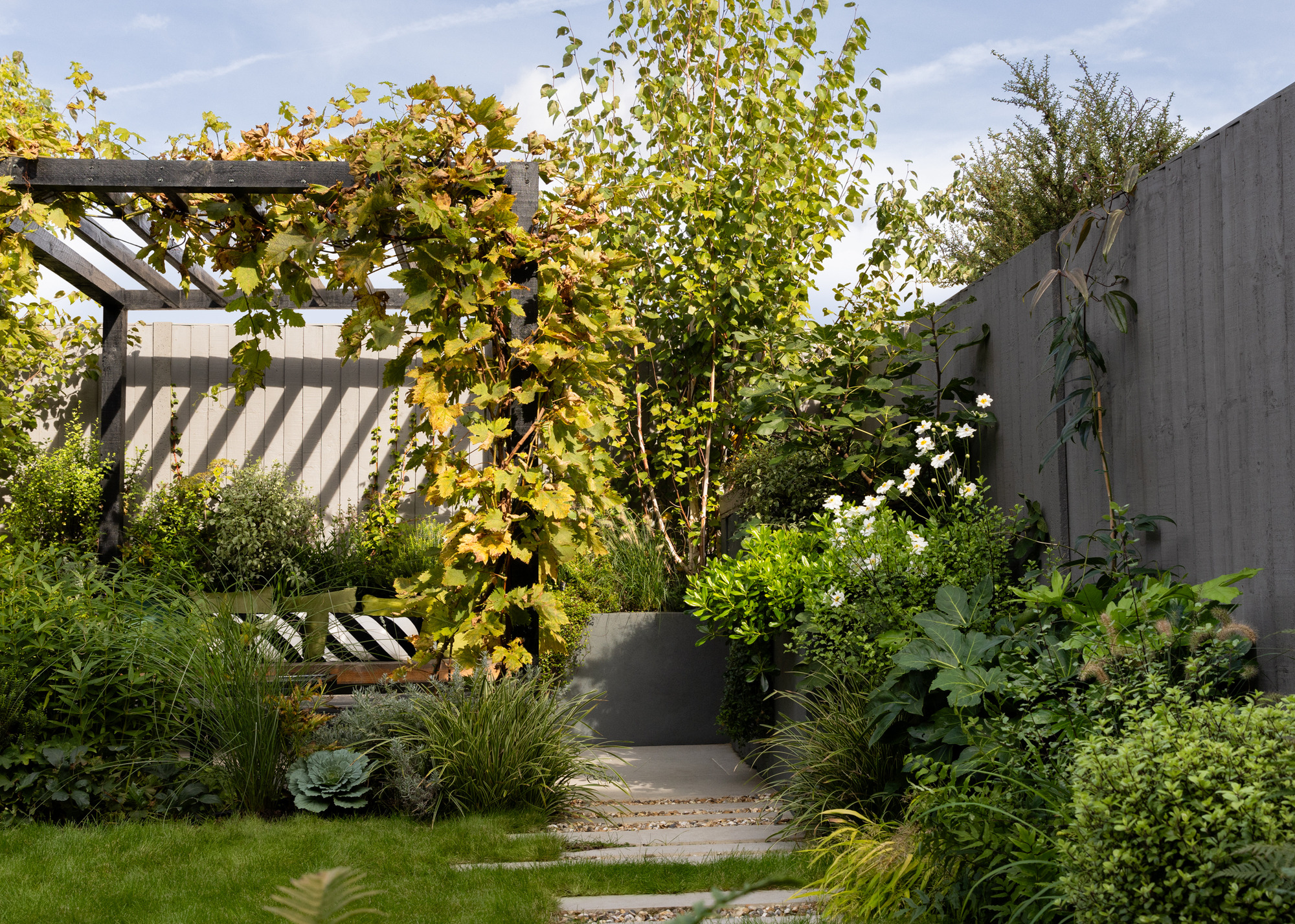 a timber pergola with climbing vines at the end of a garden