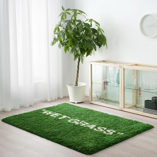 room with potted plant green wet grass rug and white wall