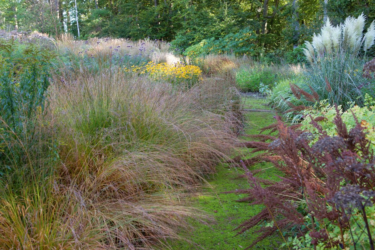 Real garden: a colourful autumn garden | Real Homes