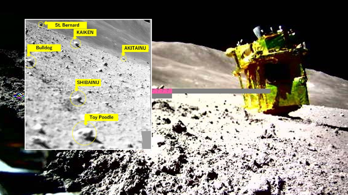 Japan's upside-down SLIM moon lander wakes up on lunar surface and snaps  new photos | Space