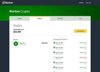 A screenshot of a Norton Crypto wallet showing a balance of $12.00 in Ether tokens.