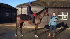 The Royal Veterinary College research is helping to build a picture between horses&rsquo; movement and other factors