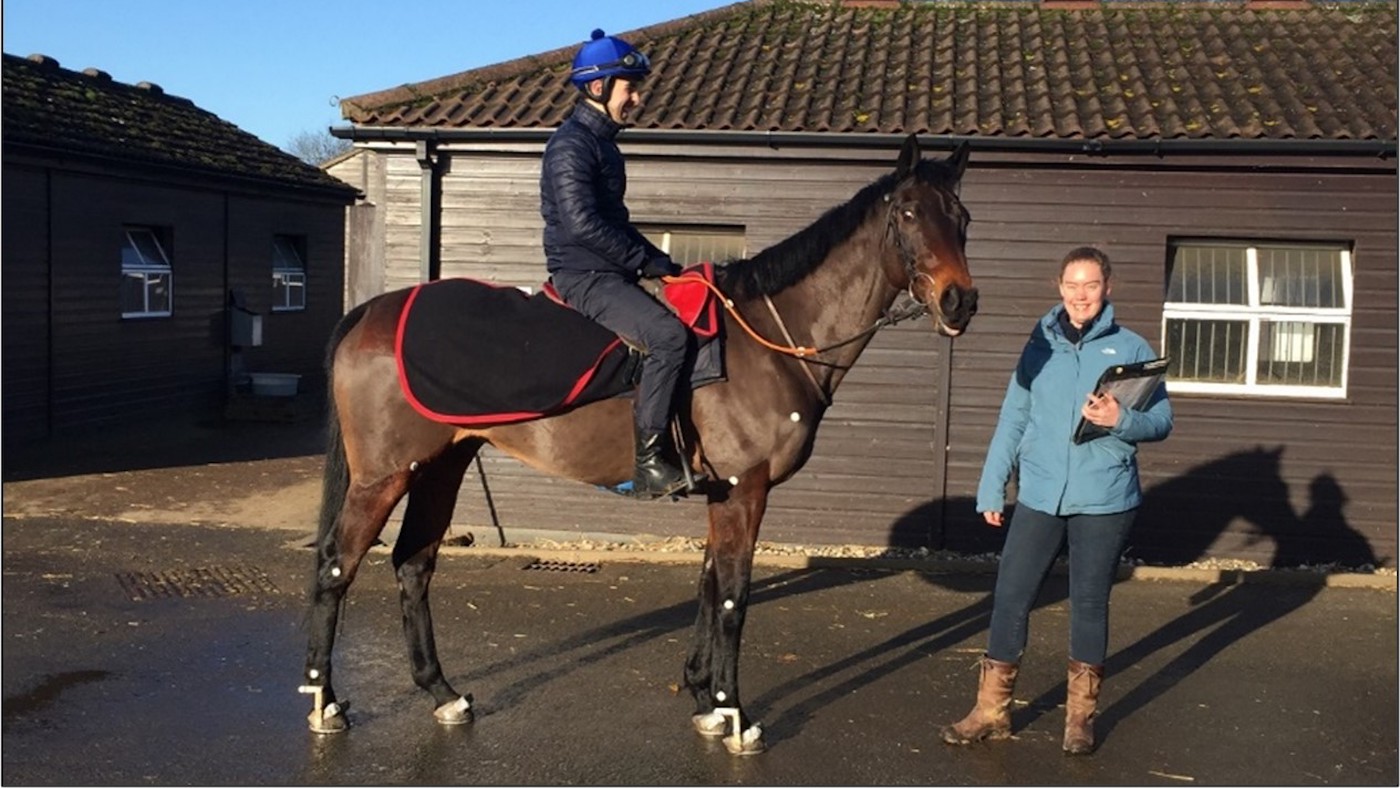 The Royal Veterinary College research is helping to build a picture between horses&amp;rsquo; movement and other factors