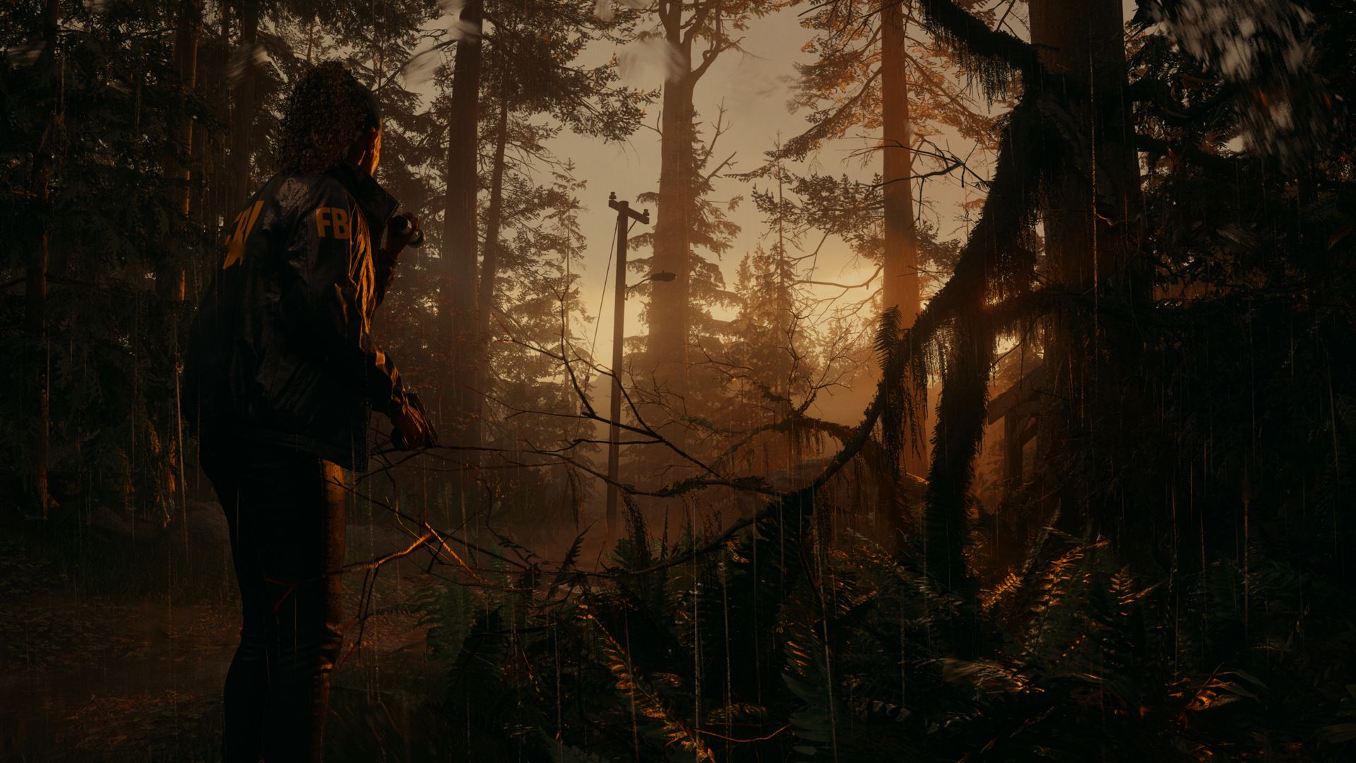 Озеро колдрон alan wake 2