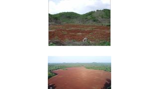 Cleared farming areas, known as planadas, in the Puuc region.