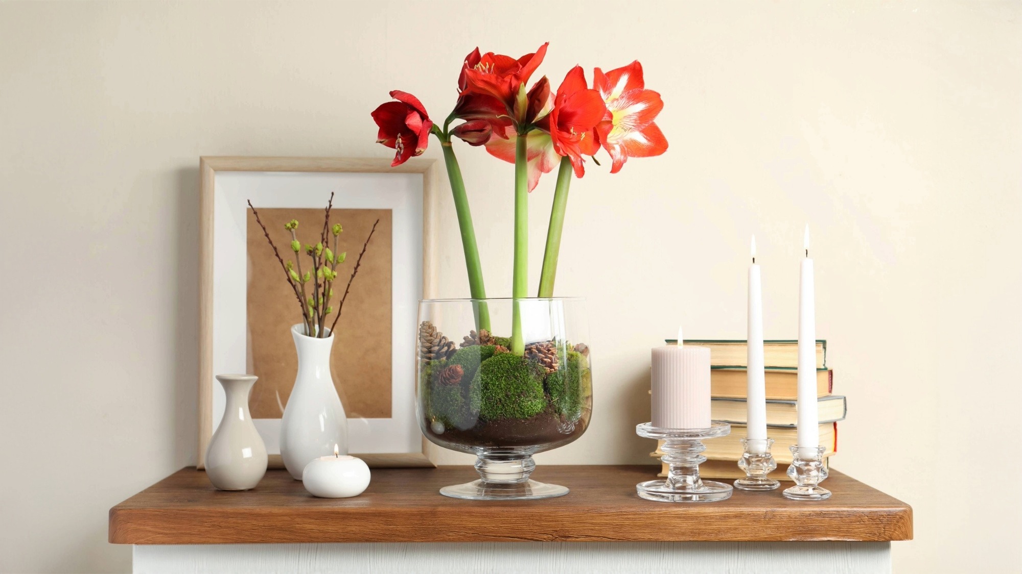 Bright red amaryllis blooming on entryway table