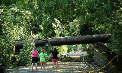 Local residents of Falls Church, Va., take in the damage Sunday morning after a powerful weekend storm left 2.1 million people from Virginia to Illinois without power.