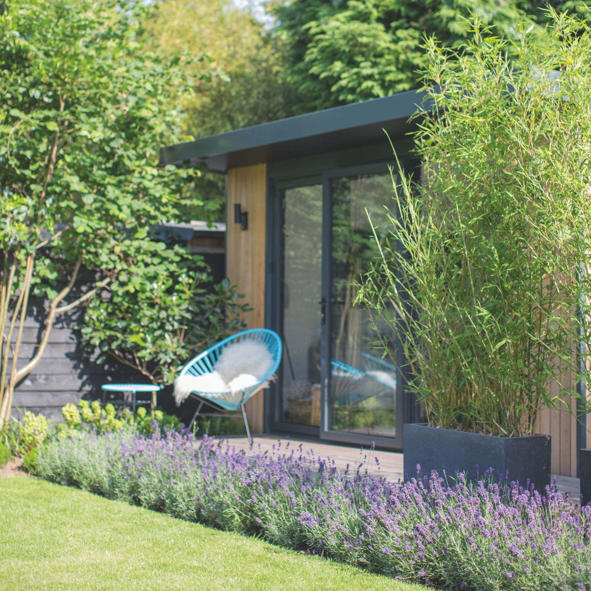 garden with bamboo in containers