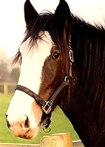 A93A48BB-5541-448F-8B4A-E76E540F1BC4.jpg