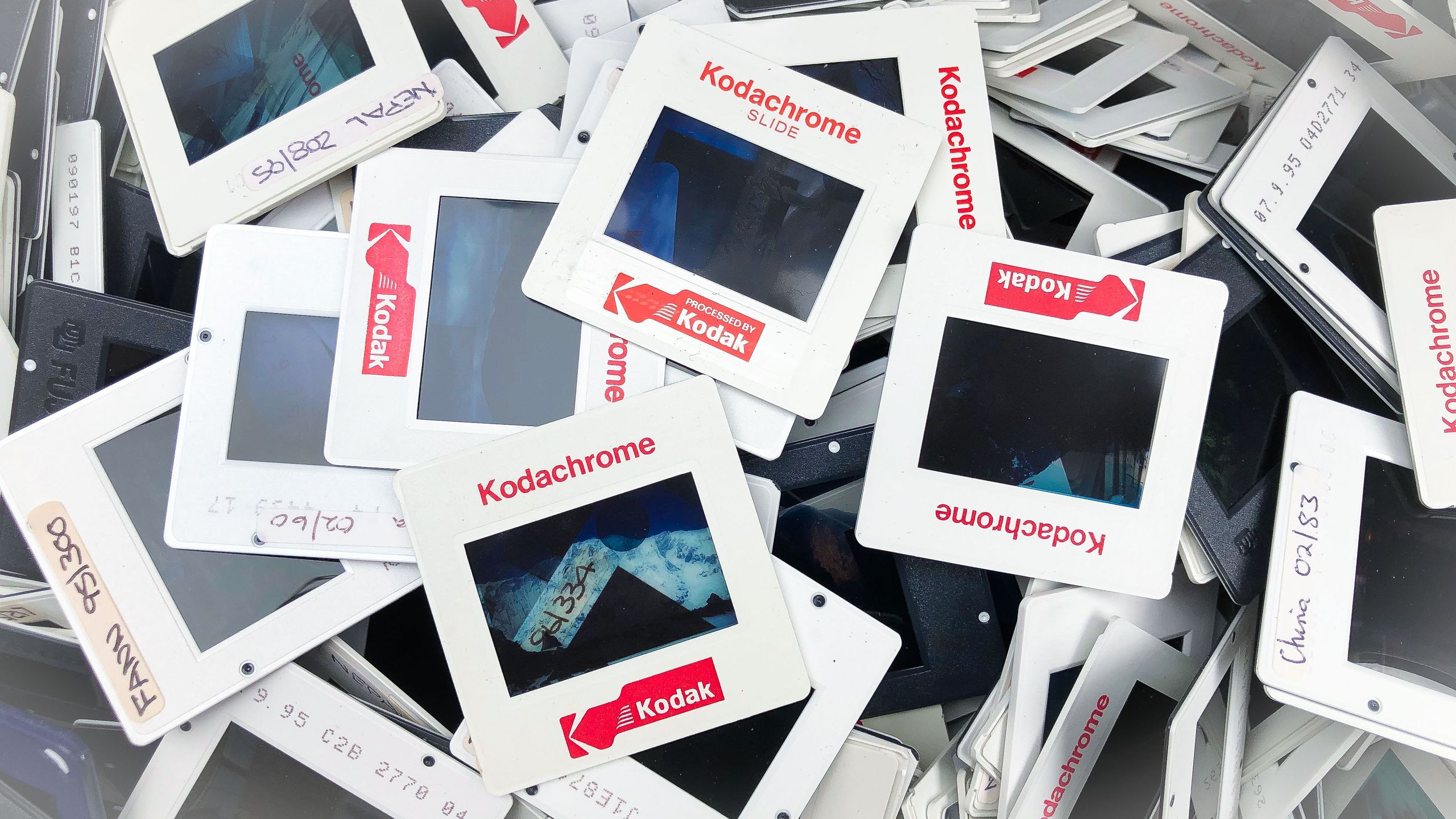The shocking reason why your phone photos could be history's biggest