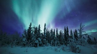 Screengrab from Frozen Planet II showing the lights above Scandinavia at night