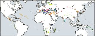 genetic ancestry test