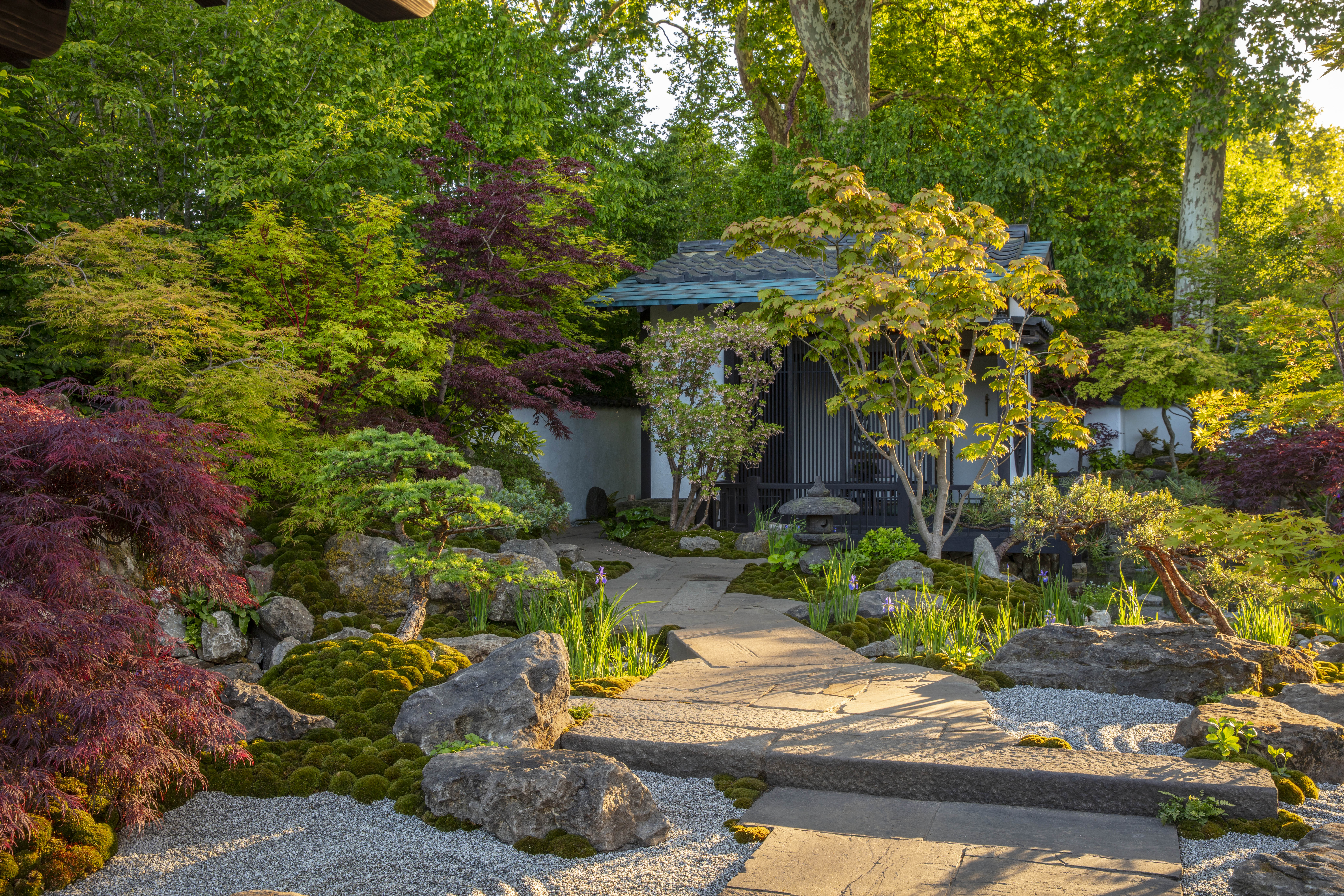Chelsea Flower Show gardens