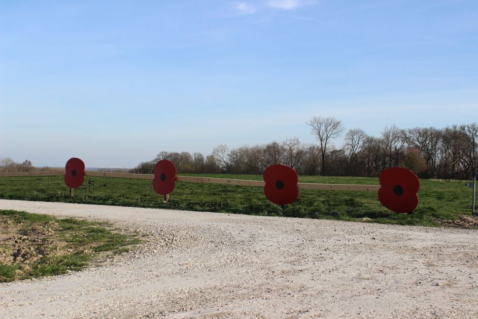 Another tight left-hander by the poppies