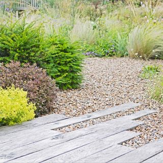 Gravel garden with paved pathway and shrubs in the borders