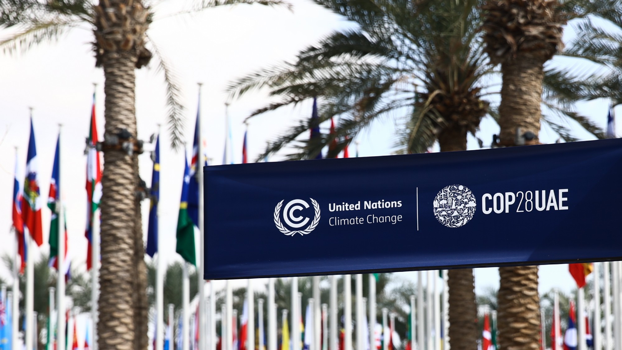  All the takeaways from COP28 