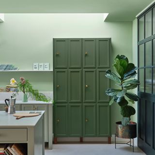 Farrow & Ball Whirlybird green colour in a green kitchen with a large dark green cabinet and an island