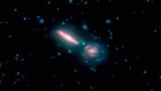These merging galaxies are together known as Arp 302, as well as VV 340. Blue and green represents wavelengths strongly emitted by stars, while red indicates wavelengths mostly emitted by dust.