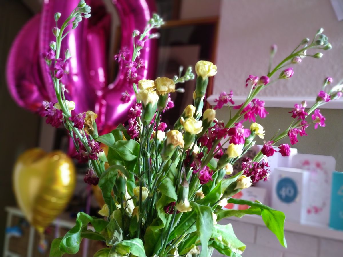 Indoors, the 7 Plus sometimes struggles, but here it has deployed its 'Live bokeh' mode to good effect.