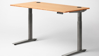 Fully Jarvis Bamboo - Best high-end eco-friendly standing desk - $764