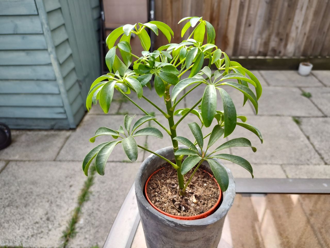 Motorola Edge 20 Pro