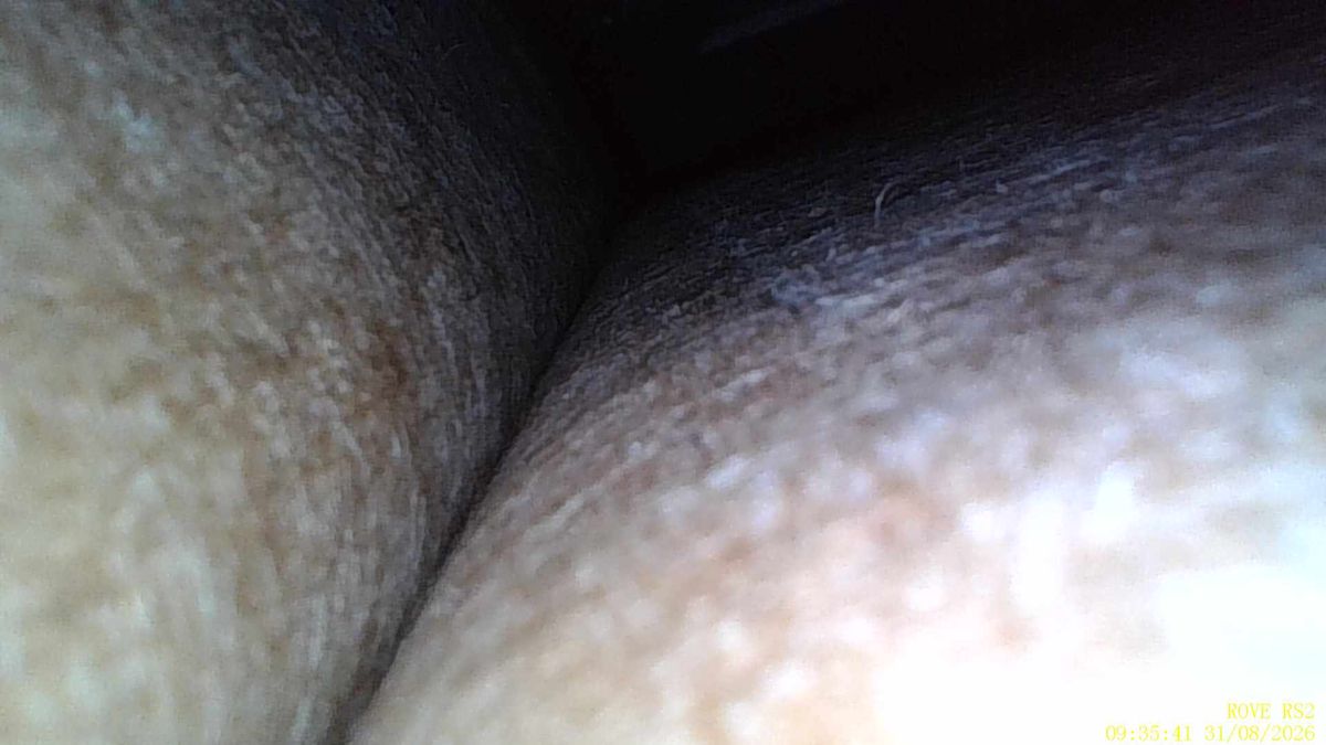 Sample images taken with the Rove RS2 borescope