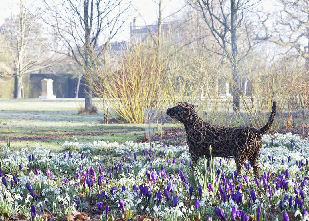 A sculpture of King Charles's dog, Tigga, in a field of flowers