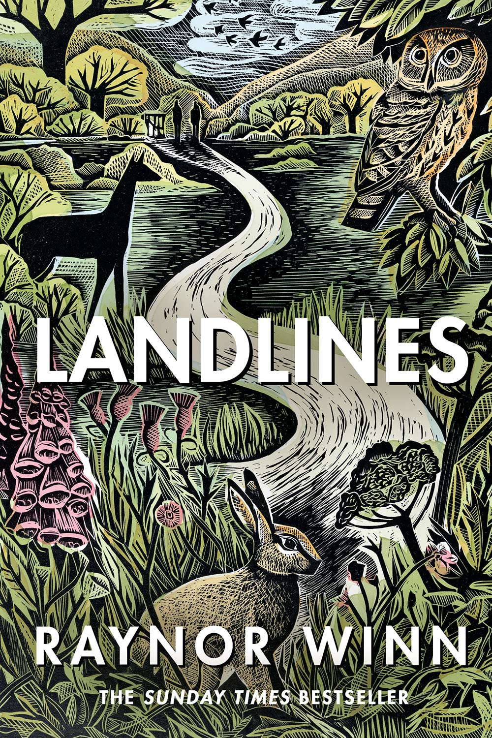 The cover of Landlines by Raynor Winn