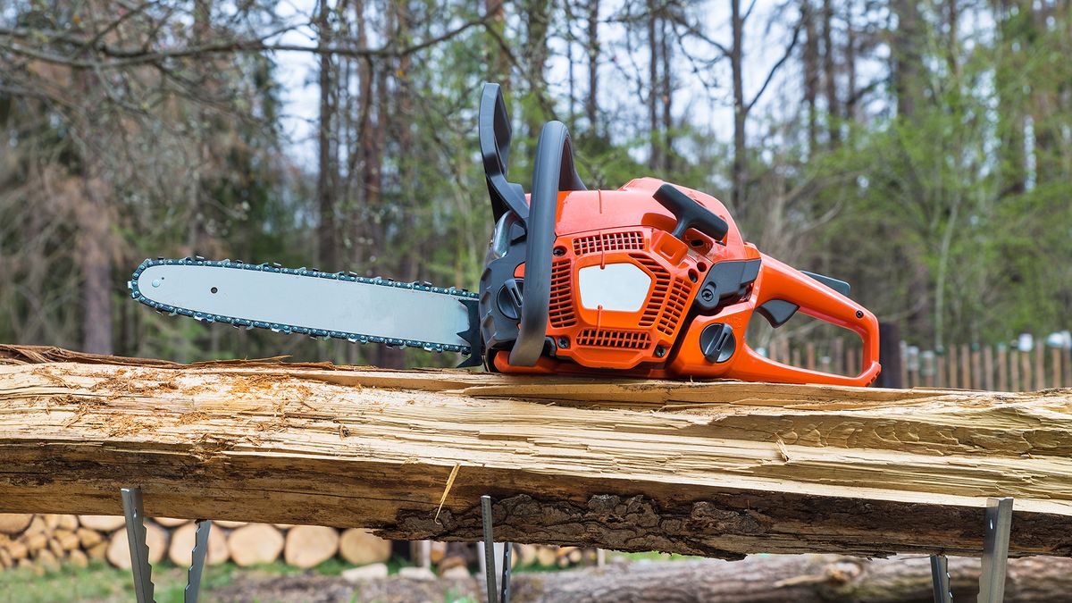 Orange chainsaw sat on a tree trunk.