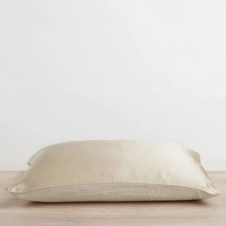 Linen Silk Flip Pillowcase against a white wall.