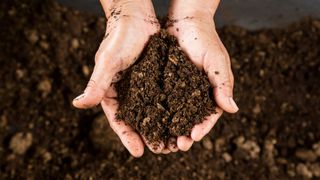 How to compost: image shows hands holding compost