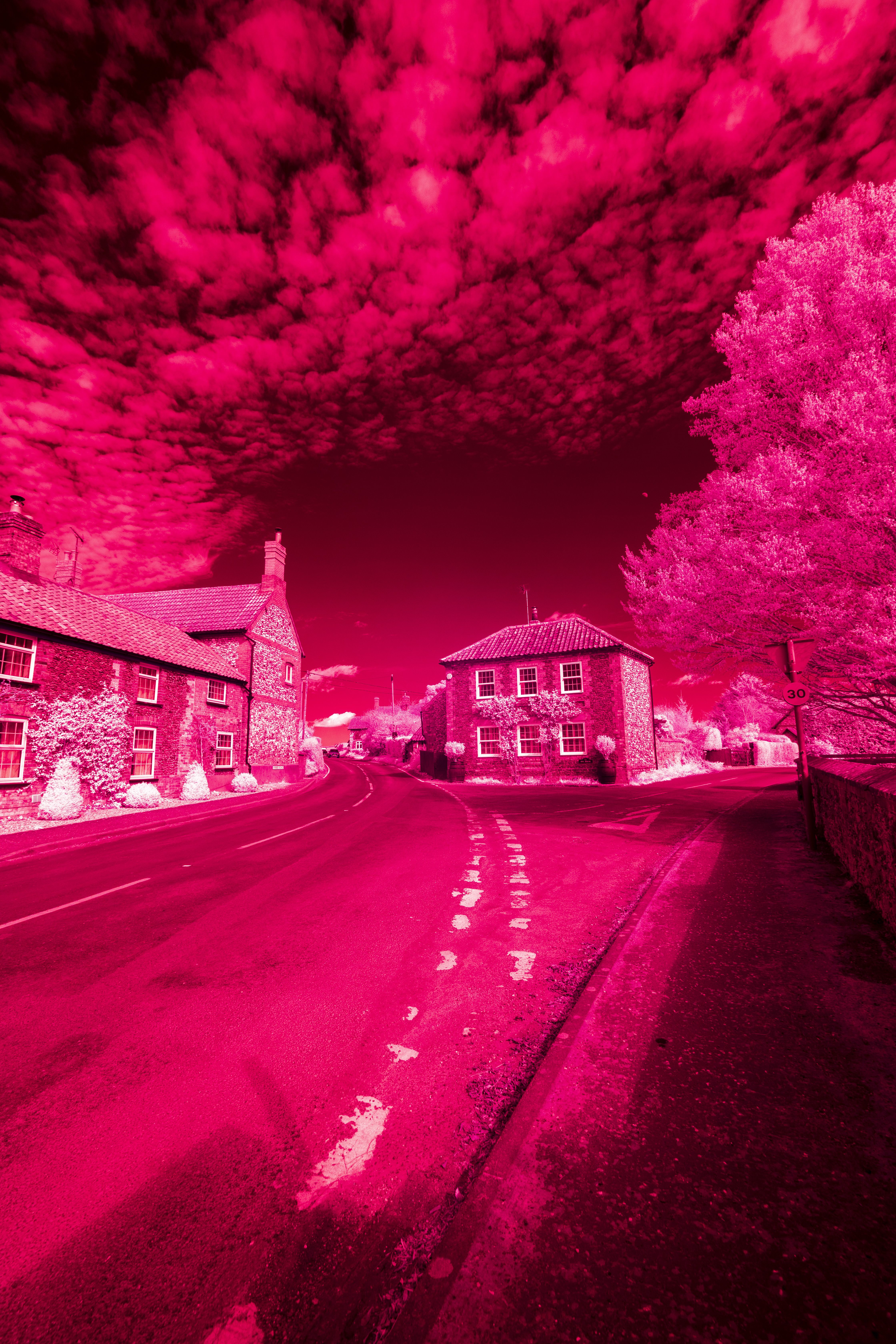 Hoya R72 Infrared Test Shot