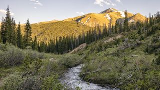 Mountain stream in Colorado