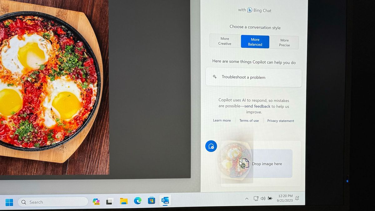 Windows 11 Copilot