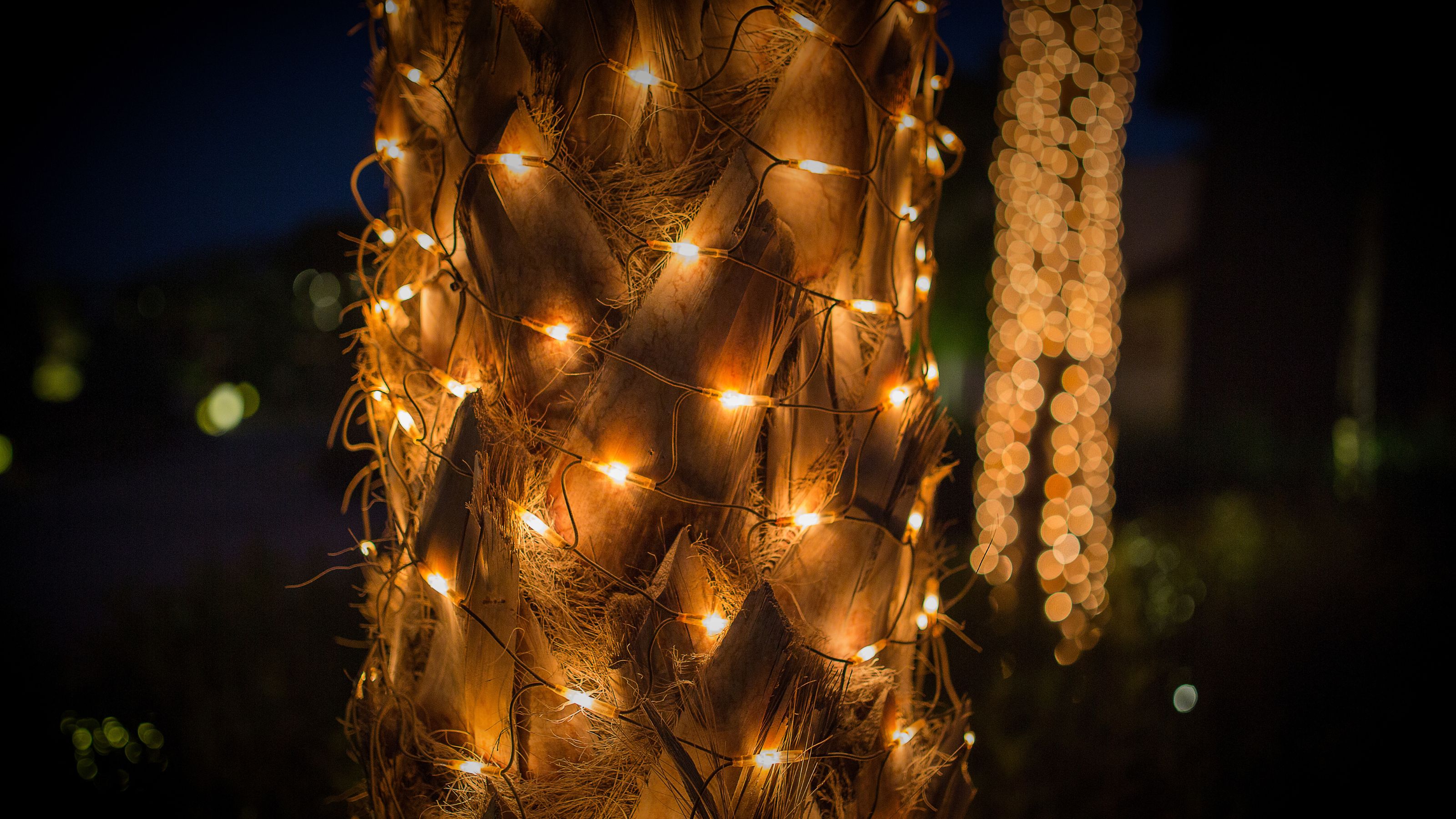 Outdoor LED net lights on tree