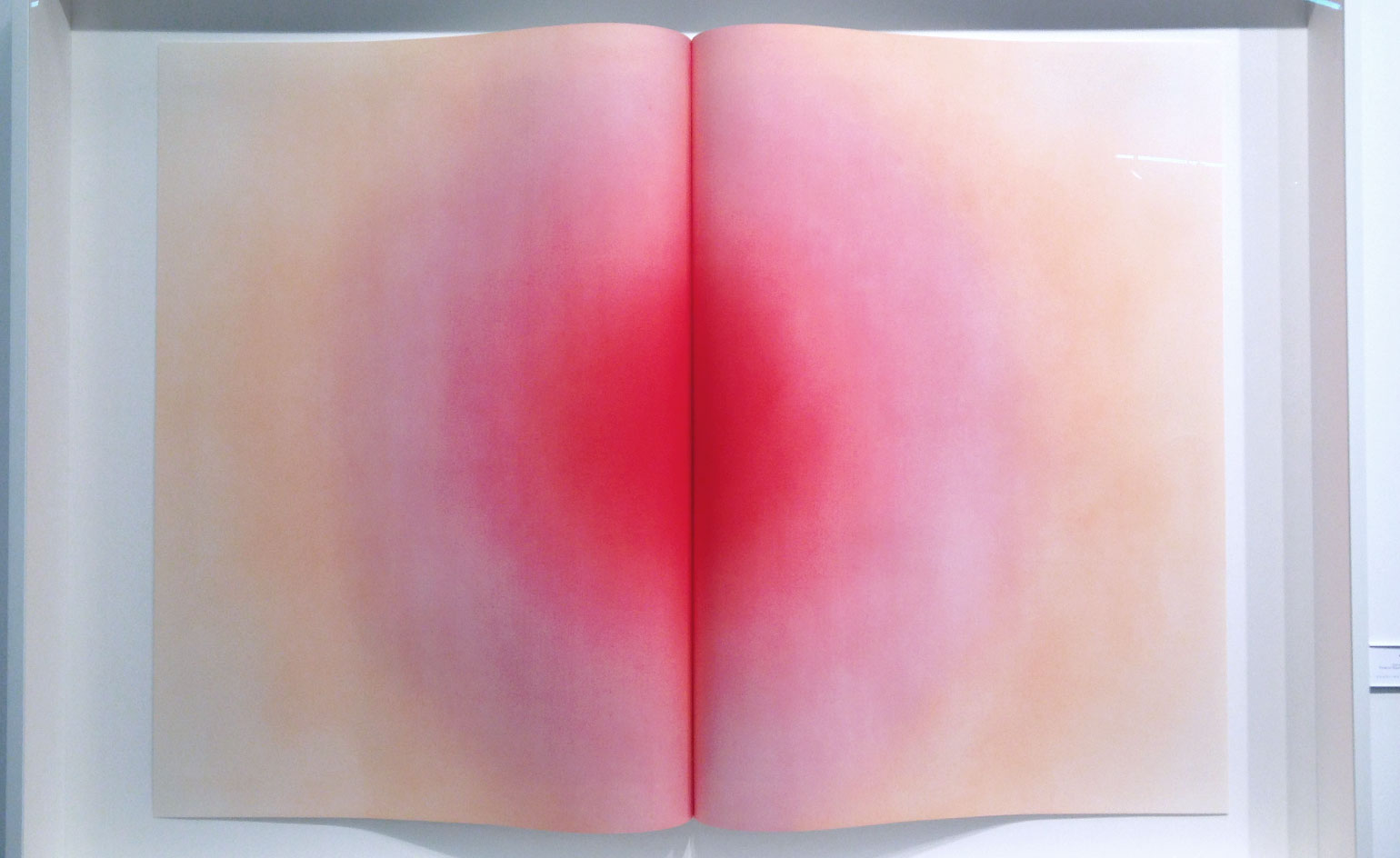 Pink painting in an open book