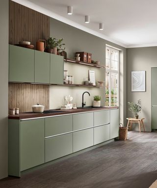 A green one-wall kitchen with lacquered cabinets