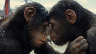 Kingdom of the Planet of the Apes image