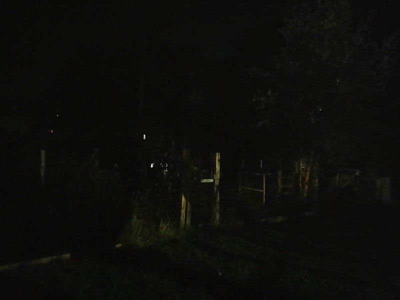 Motorola Edge 2021 Camera Sample Very Low Light