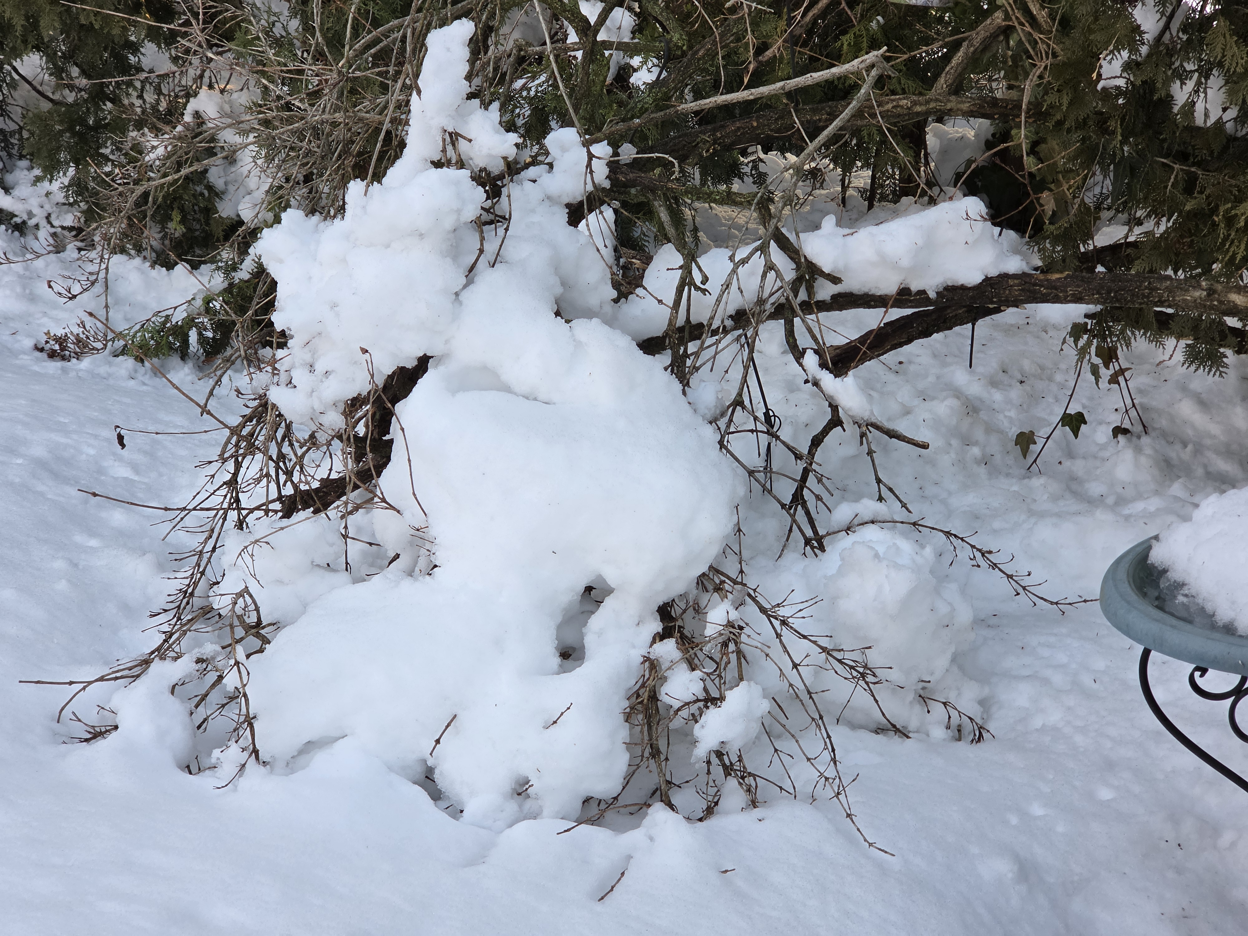 Samsung Galaxy S26 Ultra