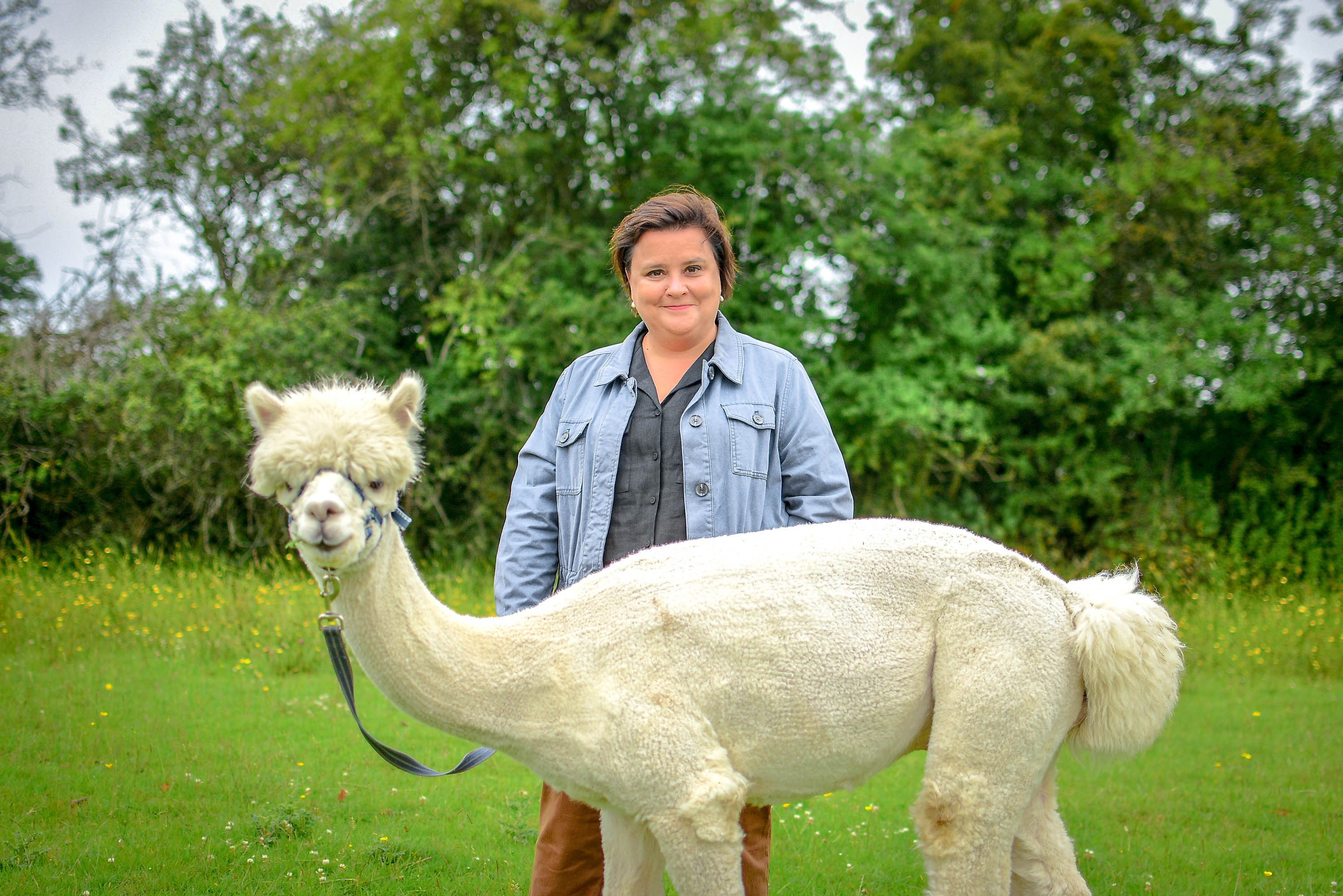 TV tonight Susan and Bob the alpaca.
