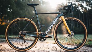 A Cervélo R5-CX cyclo-cross bike in Jumbo-Visma's yellow and black colours stood in a forest