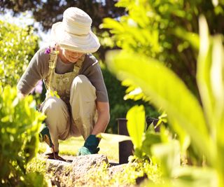 Wear a sunhat as sun protection and to stop pollen from getting in your hair