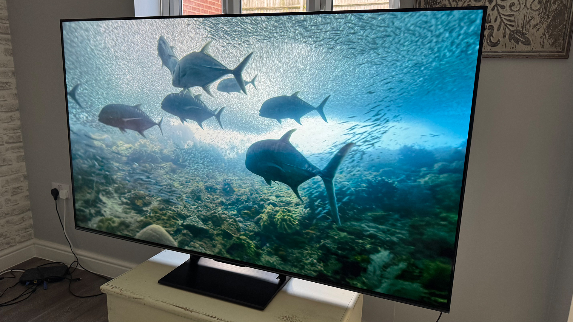 Hisense U7Q Pro Mini LED TV, on screen is underwater scene with dolphins