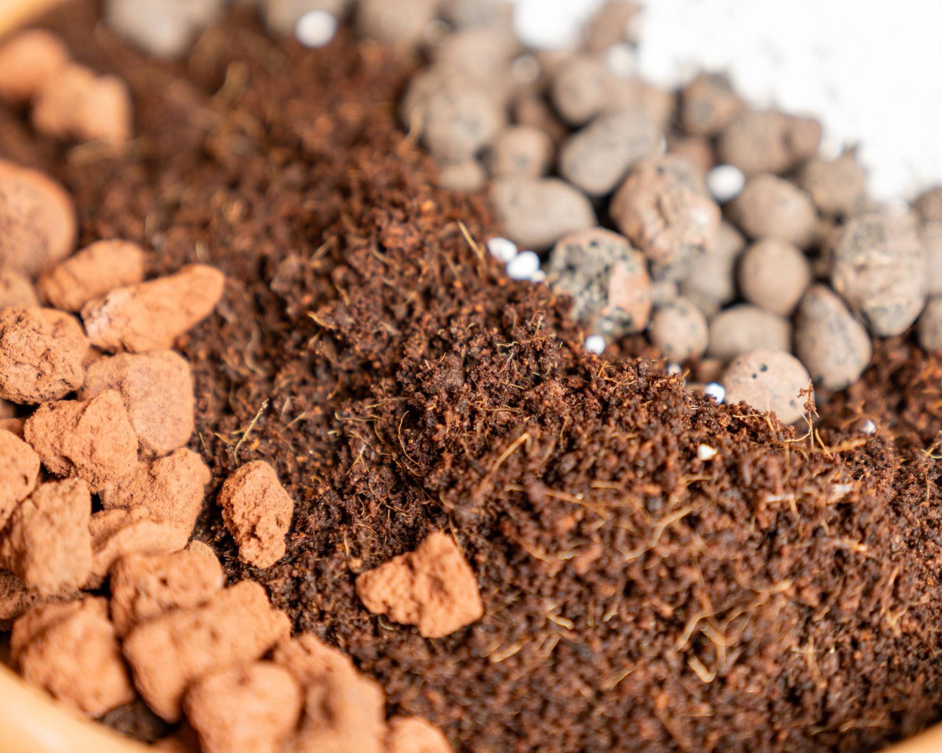 Soilless Potting Mix: Make the Switch to Help Your Plants | Gardening ...