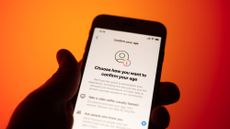 An age-verification login screen is seen on a mobile device in this illustration photo in Warsaw, Poland on 31 Poland, 2022. Digital rights groups are urging the federal government to rule out requiring identification documents as part of a proposed online age-verification system. Rights groups are warning it could create a honeypot of peoples personal information and pornography-viewing habits.